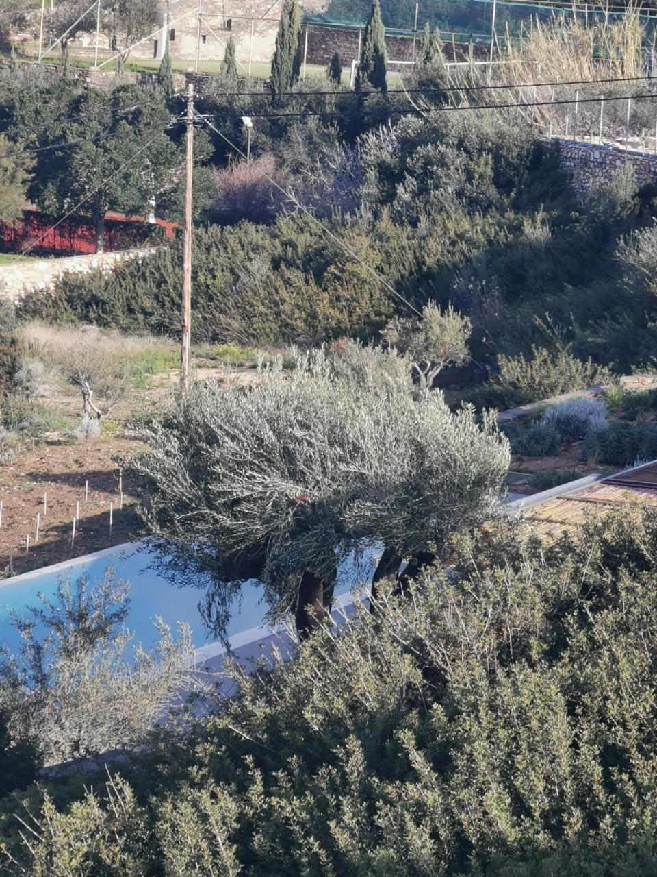 Olithos Villas Krotiri Exteriör bild